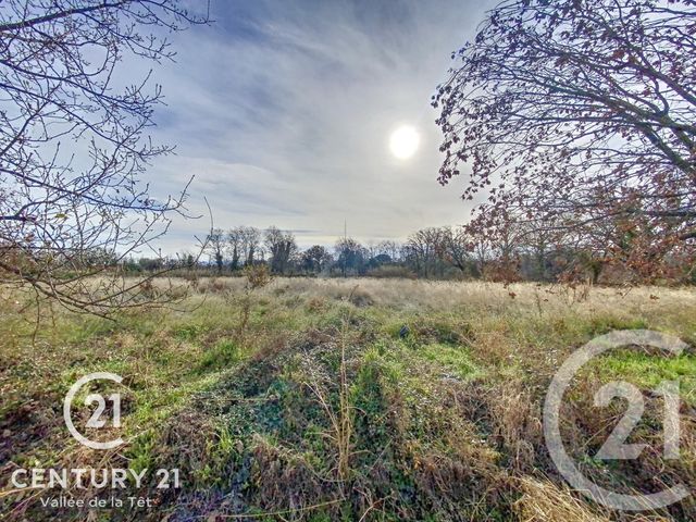 Terrain à vendre MILLAS