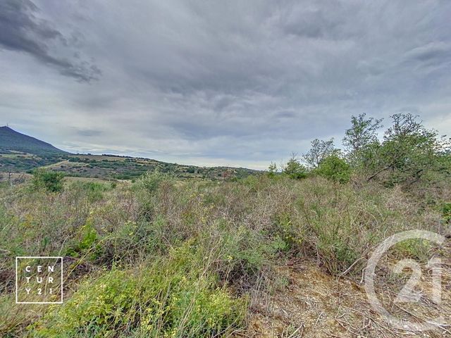 terrain à vendre - 11802.0 m2 - MILLAS - 66 - LANGUEDOC-ROUSSILLON - Century 21 Vallée De La Têt