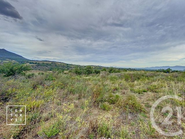 terrain à vendre - 11802.0 m2 - MILLAS - 66 - LANGUEDOC-ROUSSILLON - Century 21 Vallée De La Têt