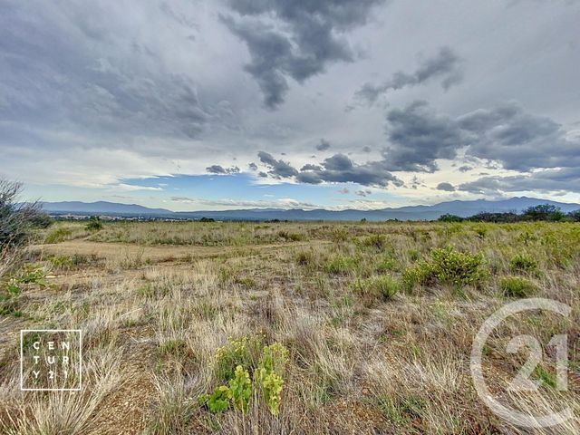terrain à vendre - 11802.0 m2 - MILLAS - 66 - LANGUEDOC-ROUSSILLON - Century 21 Vallée De La Têt