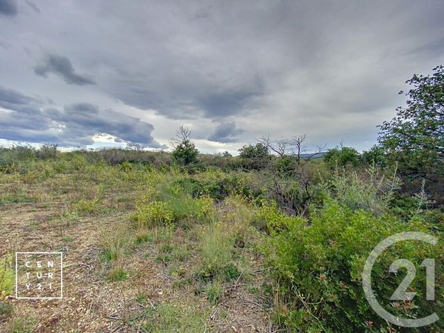 terrain à vendre - 11802.0 m2 - MILLAS - 66 - LANGUEDOC-ROUSSILLON - Century 21 Vallée De La Têt