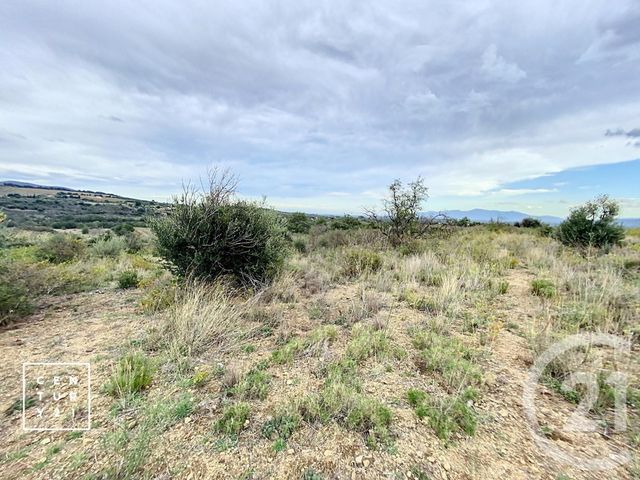 terrain à vendre - 11802.0 m2 - MILLAS - 66 - LANGUEDOC-ROUSSILLON - Century 21 Vallée De La Têt