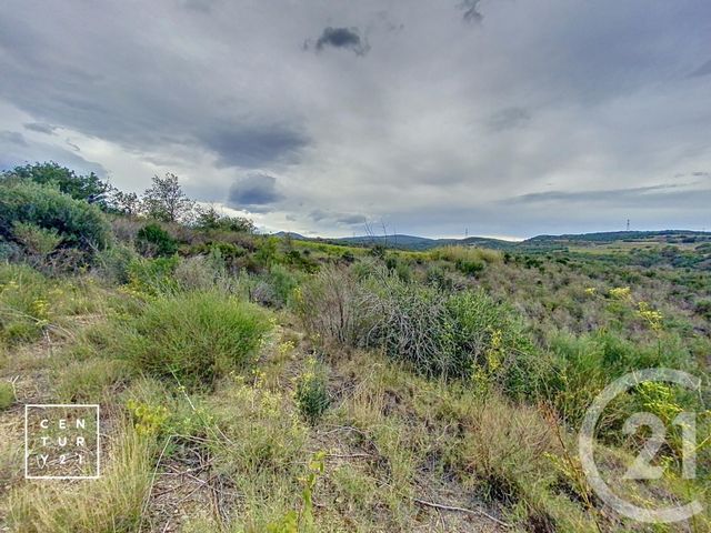 terrain à vendre - 11802.0 m2 - MILLAS - 66 - LANGUEDOC-ROUSSILLON - Century 21 Vallée De La Têt
