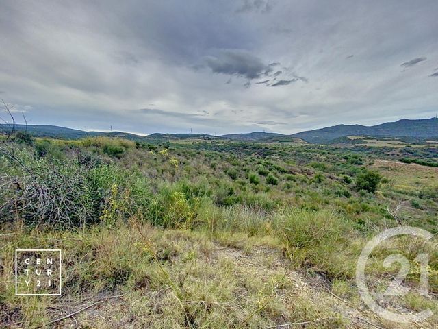 terrain à vendre - 11802.0 m2 - MILLAS - 66 - LANGUEDOC-ROUSSILLON - Century 21 Vallée De La Têt