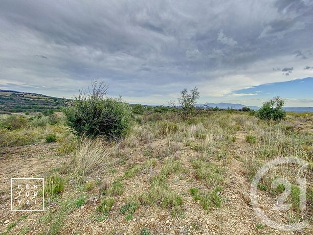 terrain à vendre - 11802.0 m2 - MILLAS - 66 - LANGUEDOC-ROUSSILLON - Century 21 Vallée De La Têt