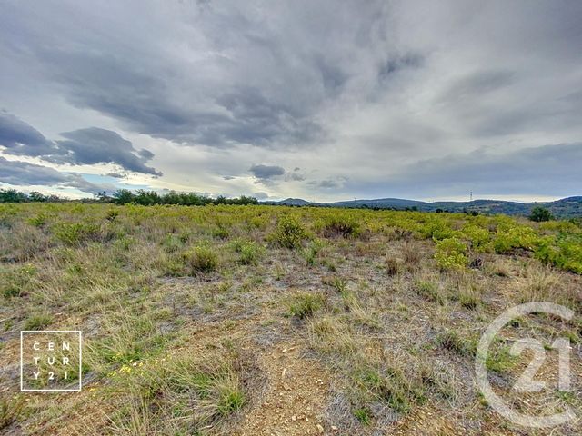 terrain à vendre - 11802.0 m2 - MILLAS - 66 - LANGUEDOC-ROUSSILLON - Century 21 Vallée De La Têt