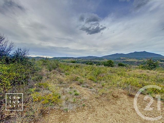 terrain à vendre - 11802.0 m2 - MILLAS - 66 - LANGUEDOC-ROUSSILLON - Century 21 Vallée De La Têt