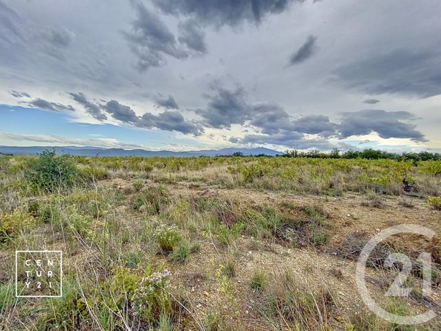 terrain à vendre - 11802.0 m2 - MILLAS - 66 - LANGUEDOC-ROUSSILLON - Century 21 Vallée De La Têt
