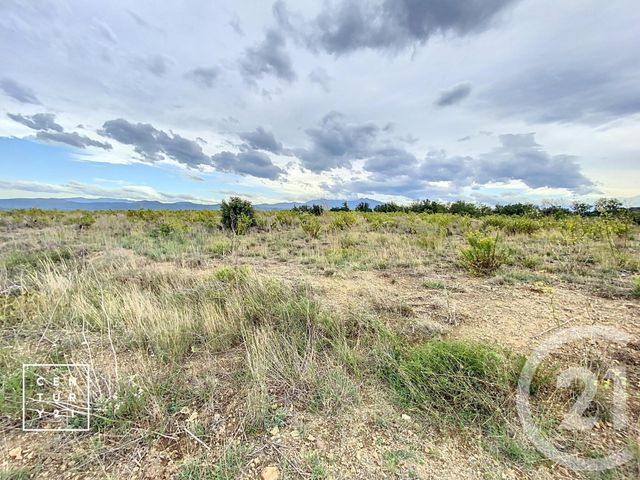 terrain à vendre - 11802.0 m2 - MILLAS - 66 - LANGUEDOC-ROUSSILLON - Century 21 Vallée De La Têt
