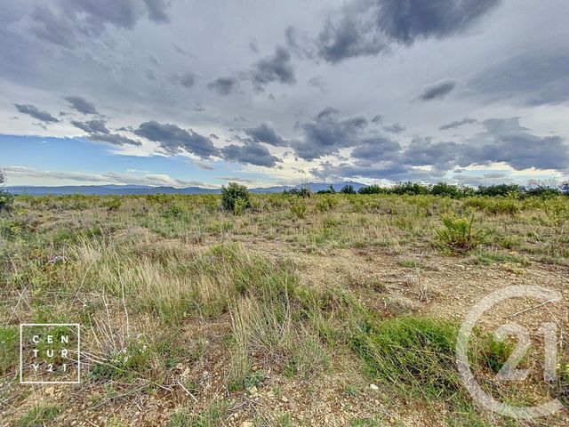 terrain à vendre - 11802.0 m2 - MILLAS - 66 - LANGUEDOC-ROUSSILLON - Century 21 Vallée De La Têt