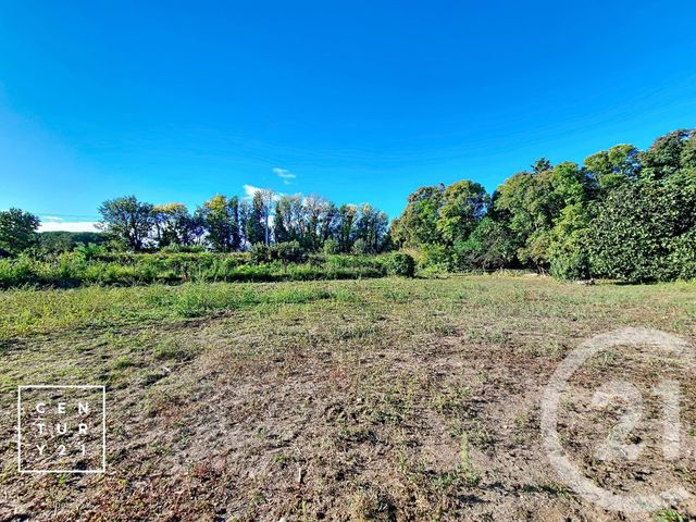 Terrain à vendre MILLAS