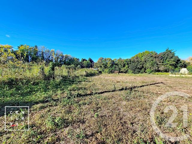 terrain à vendre - 766.0 m2 - MILLAS - 66 - LANGUEDOC-ROUSSILLON - Century 21 Vallée De La Têt
