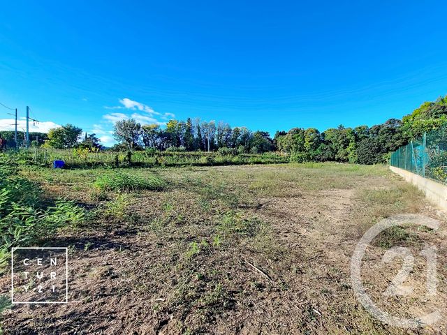 terrain à vendre - 708.0 m2 - MILLAS - 66 - LANGUEDOC-ROUSSILLON - Century 21 Vallée De La Têt