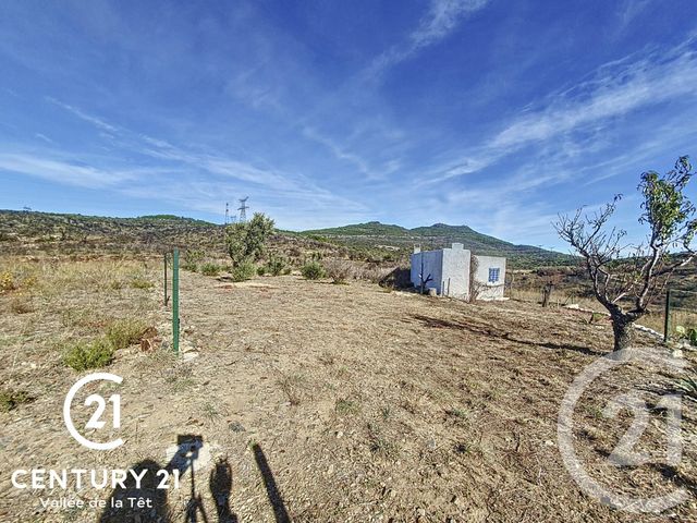 terrain à vendre - 622.0 m2 - MILLAS - 66 - LANGUEDOC-ROUSSILLON - Century 21 Vallée De La Têt