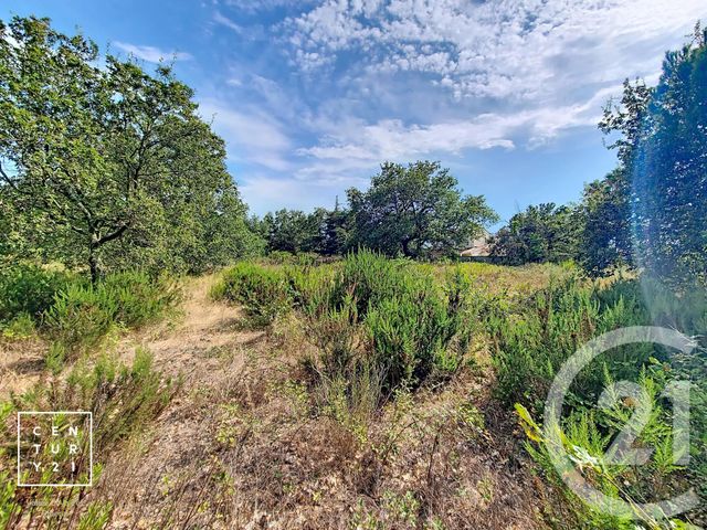 terrain à vendre - 5055.0 m2 - TOULOUGES - 66 - LANGUEDOC-ROUSSILLON - Century 21 Vallée De La Têt