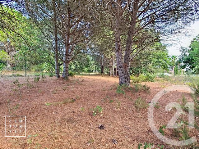 terrain à vendre - 5055.0 m2 - TOULOUGES - 66 - LANGUEDOC-ROUSSILLON - Century 21 Vallée De La Têt