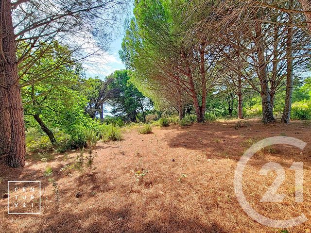 terrain à vendre - 5055.0 m2 - TOULOUGES - 66 - LANGUEDOC-ROUSSILLON - Century 21 Vallée De La Têt