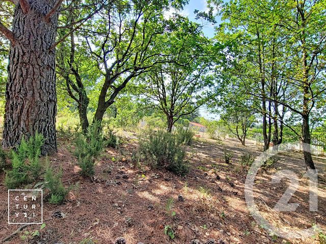 terrain à vendre - 5055.0 m2 - TOULOUGES - 66 - LANGUEDOC-ROUSSILLON - Century 21 Vallée De La Têt