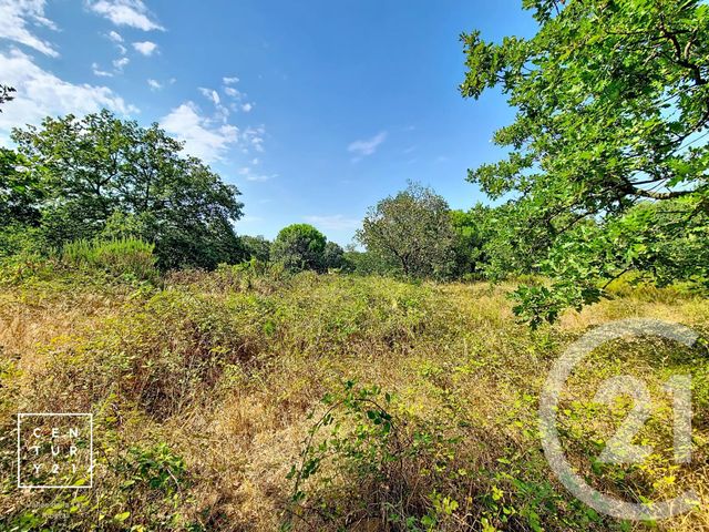 terrain à vendre - 5055.0 m2 - TOULOUGES - 66 - LANGUEDOC-ROUSSILLON - Century 21 Vallée De La Têt