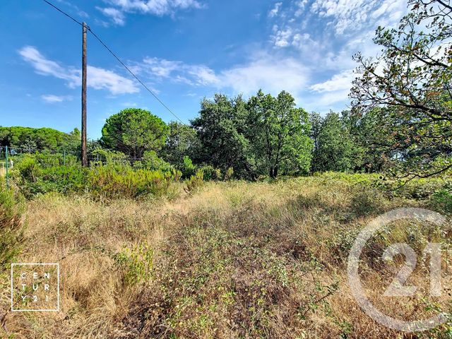 terrain à vendre - 5055.0 m2 - TOULOUGES - 66 - LANGUEDOC-ROUSSILLON - Century 21 Vallée De La Têt