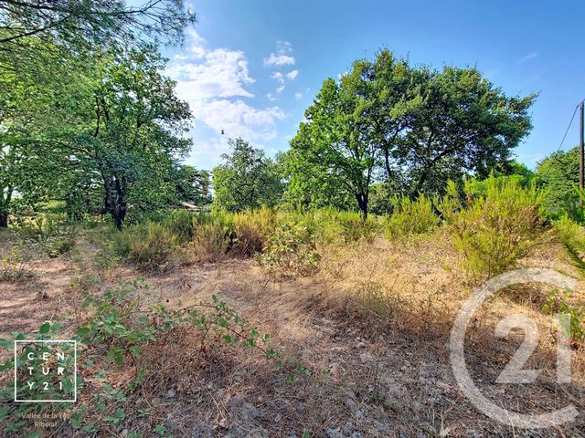 terrain à vendre - 5055.0 m2 - TOULOUGES - 66 - LANGUEDOC-ROUSSILLON - Century 21 Vallée De La Têt