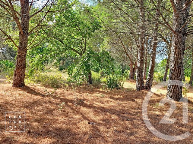 terrain à vendre - 5055.0 m2 - TOULOUGES - 66 - LANGUEDOC-ROUSSILLON - Century 21 Vallée De La Têt