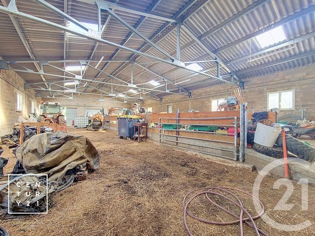 terrain à vendre - 24425.0 m2 - CORNEILLA LA RIVIERE - 66 - LANGUEDOC-ROUSSILLON - Century 21 Vallée De La Têt