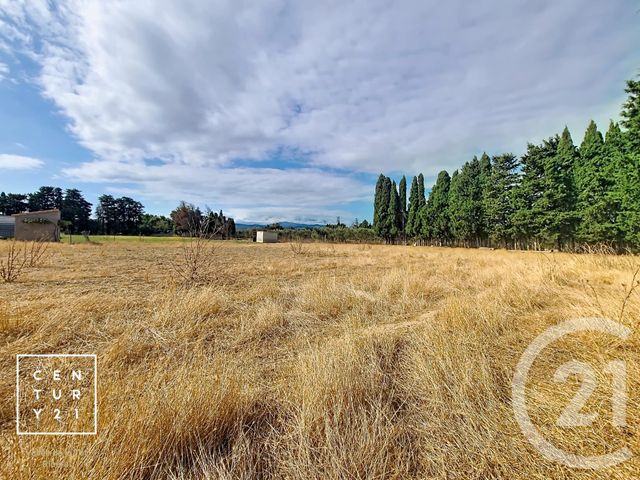 terrain à vendre - 24425.0 m2 - CORNEILLA LA RIVIERE - 66 - LANGUEDOC-ROUSSILLON - Century 21 Vallée De La Têt