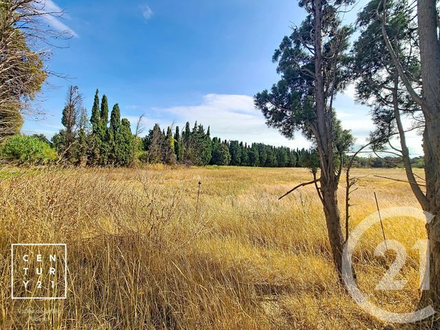 terrain à vendre - 24425.0 m2 - CORNEILLA LA RIVIERE - 66 - LANGUEDOC-ROUSSILLON - Century 21 Vallée De La Têt