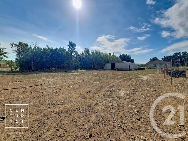 terrain à vendre - 24425.0 m2 - CORNEILLA LA RIVIERE - 66 - LANGUEDOC-ROUSSILLON - Century 21 Vallée De La Têt