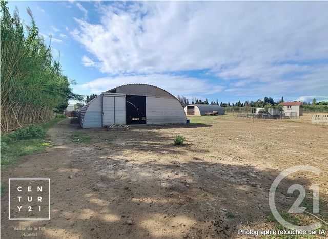 terrain à vendre - 24425.0 m2 - CORNEILLA LA RIVIERE - 66 - LANGUEDOC-ROUSSILLON - Century 21 Vallée De La Têt