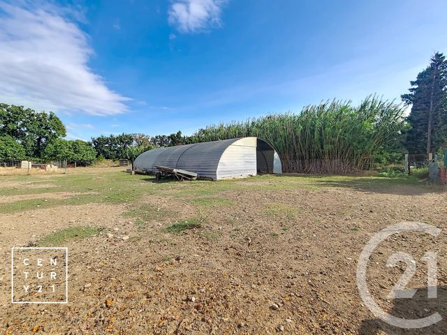 terrain à vendre - 24425.0 m2 - CORNEILLA LA RIVIERE - 66 - LANGUEDOC-ROUSSILLON - Century 21 Vallée De La Têt