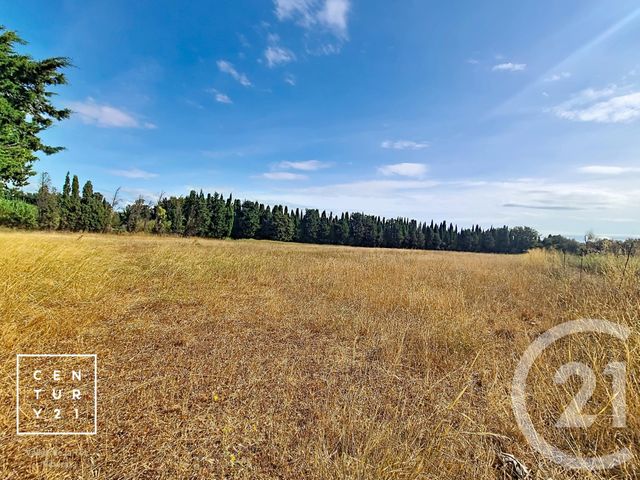 terrain à vendre - 24425.0 m2 - CORNEILLA LA RIVIERE - 66 - LANGUEDOC-ROUSSILLON - Century 21 Vallée De La Têt