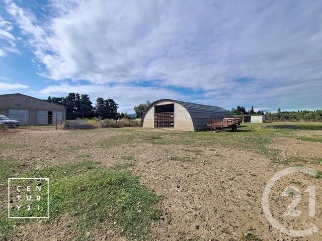 terrain à vendre - 24425.0 m2 - CORNEILLA LA RIVIERE - 66 - LANGUEDOC-ROUSSILLON - Century 21 Vallée De La Têt